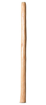 Medium Size Natural Finish Didgeridoo (TW1518)
